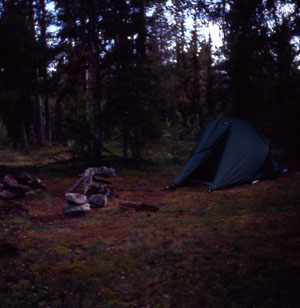 Camp im Wald