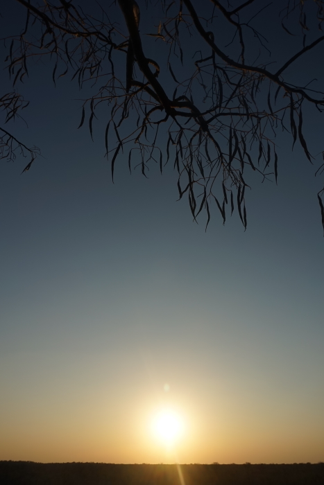 G15: Afrikanische Sonne (Etosha, Namibia, 18.08.2019)
