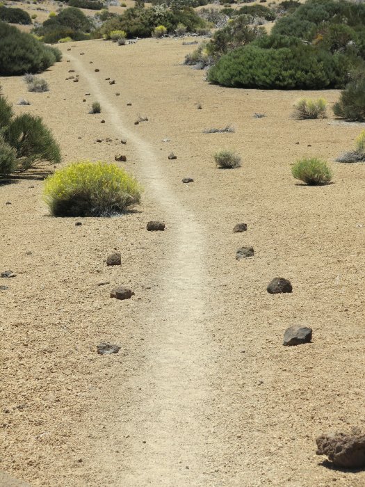 L18: Der lange Marsch (Teide, Teneriffa, 28.5.2015)
