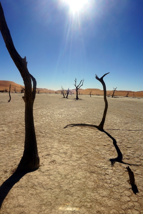 L26: Dead Vlei (Namibia, Sossusvlei, 08.08.2019)
