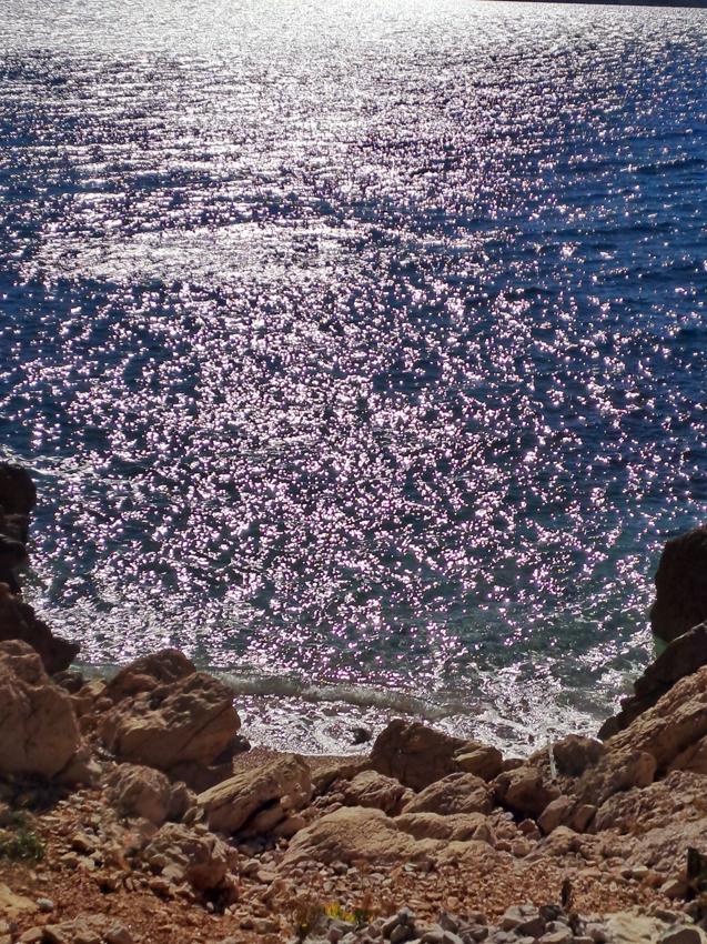 W16: Silberglanz (Insel Krk, Kroatien, 05.11.2025)