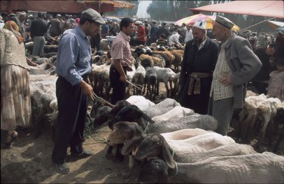 Tiermarkt