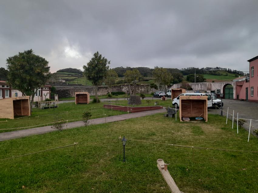 Sao Miguel