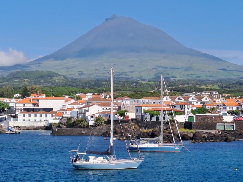 Pico