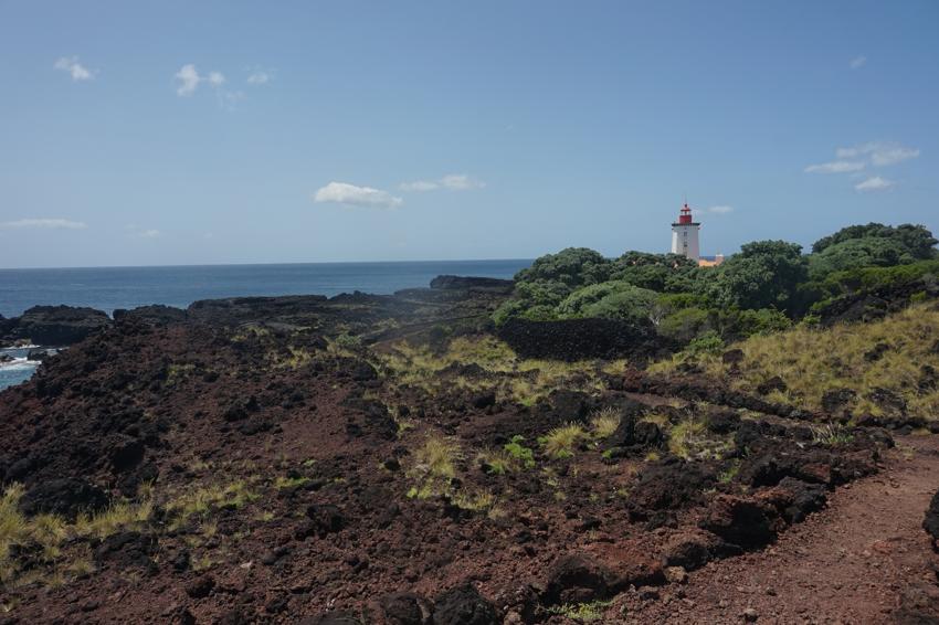 Pico