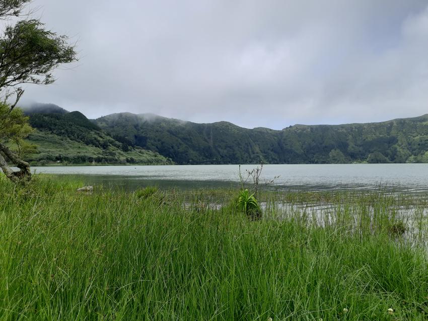 Pico da Cruz - São Miguel / Azoren
