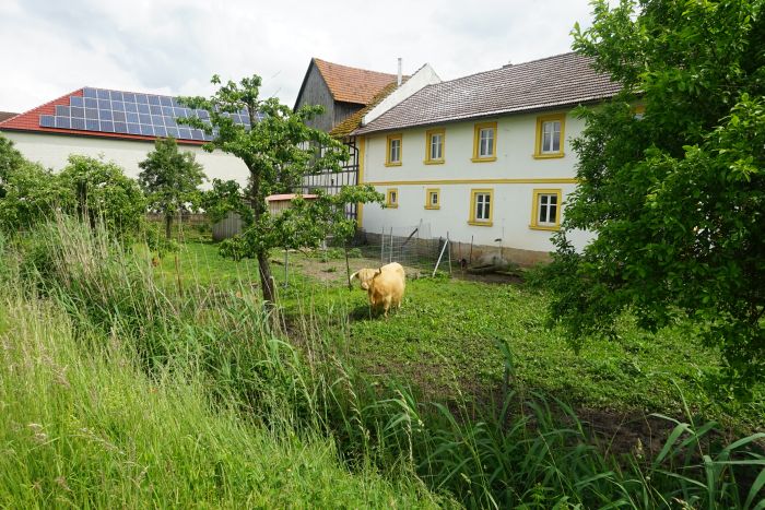 Deutschland p langs