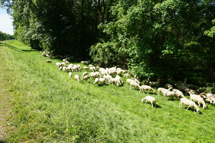 Deutschland p langs