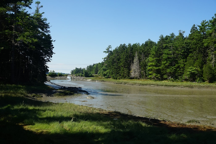 Harpswell Cliff Trail