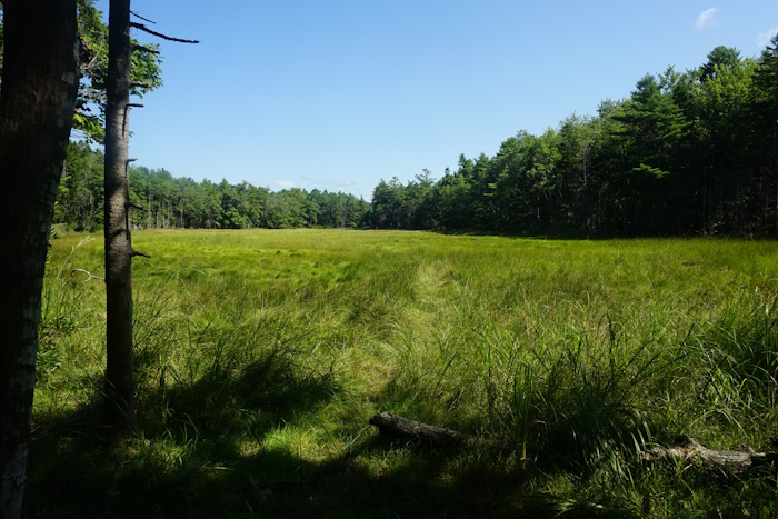 Harpswell Cliff Trail