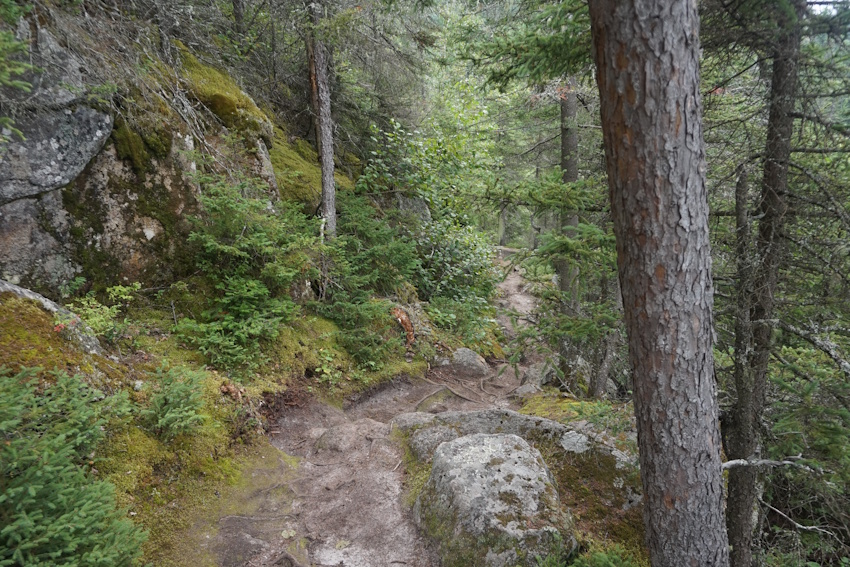 Saguenay