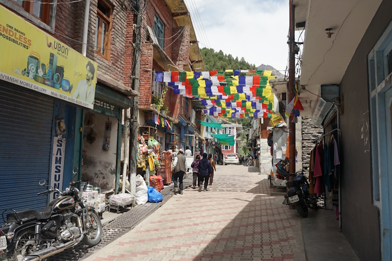 Ladakh - Zanskar 2026
