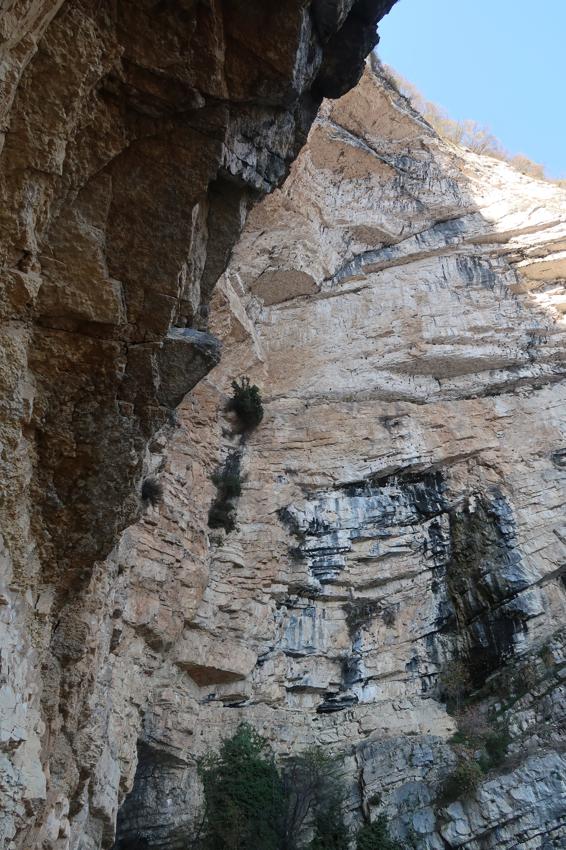 Ferrata Gerardo Sega