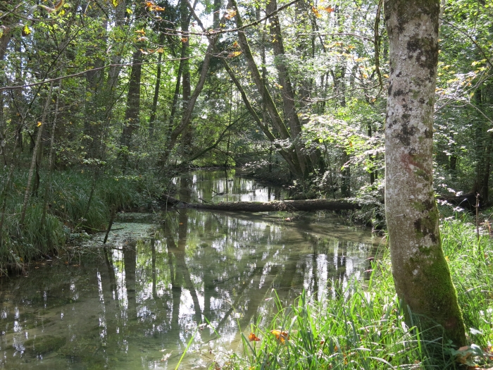 Marienplatz - Isar - Bad Tölz