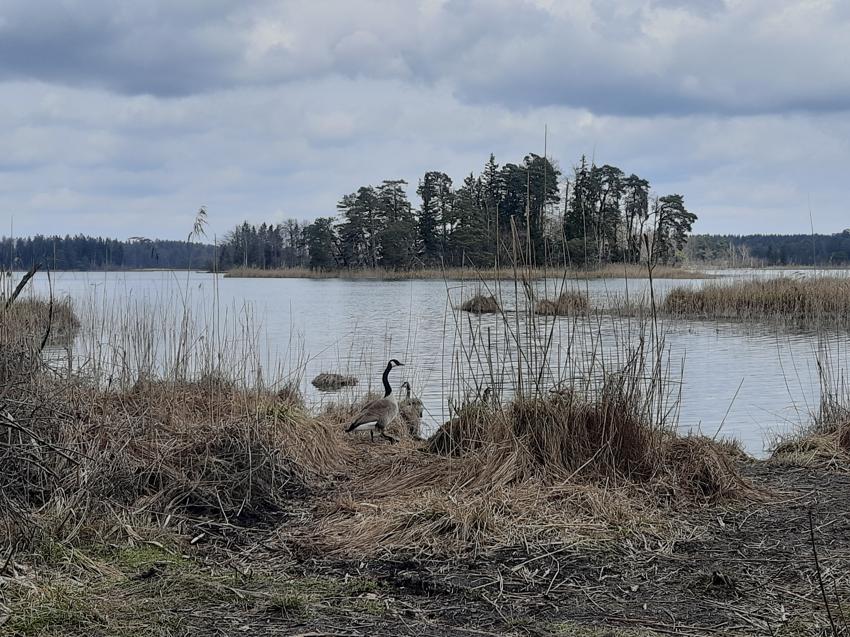 Wanderung Osterseen