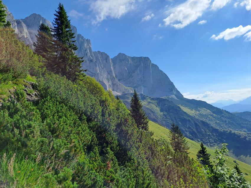 Gaudeamushütte - Kleines Törl - Fritz-Pflaum-Hütte