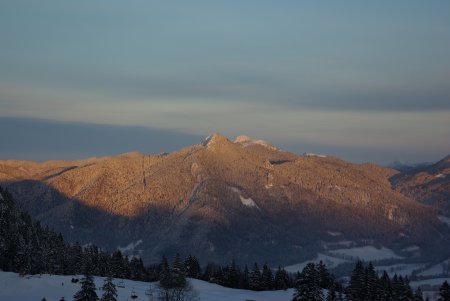 Brauneck