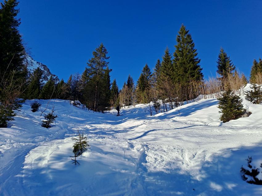 Rether Kopf und Gröbner Hals