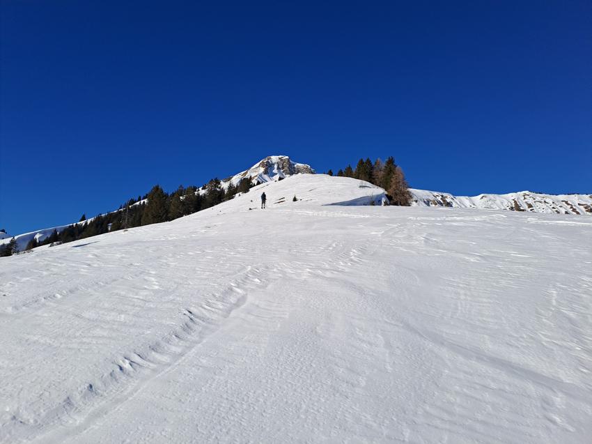 Rether Kopf und Gröbner Hals