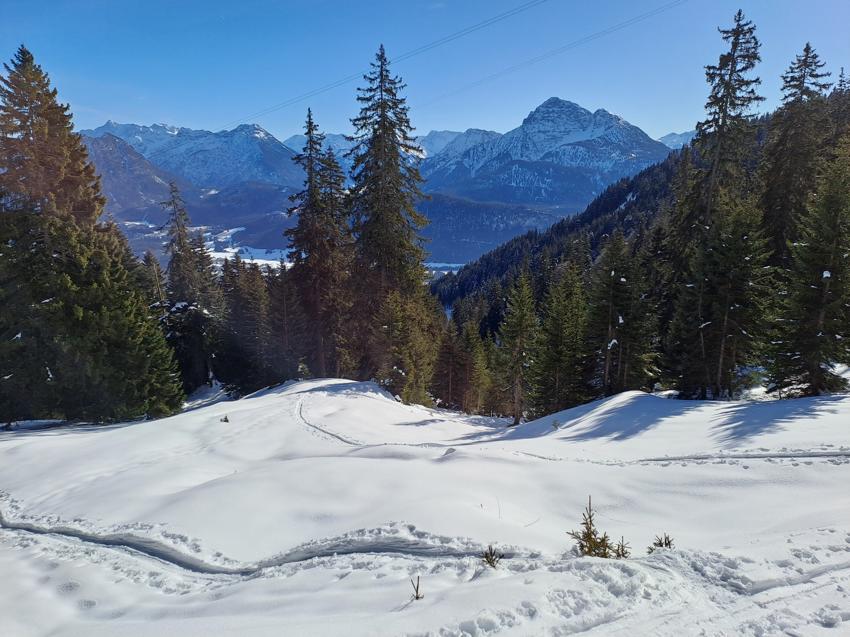 Hahnenkamm
