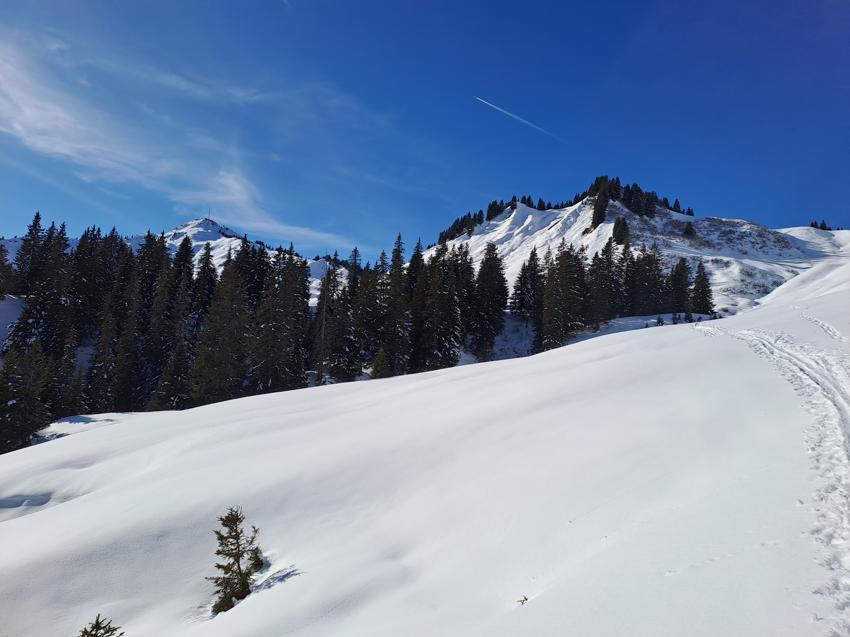 Hahnenkamm