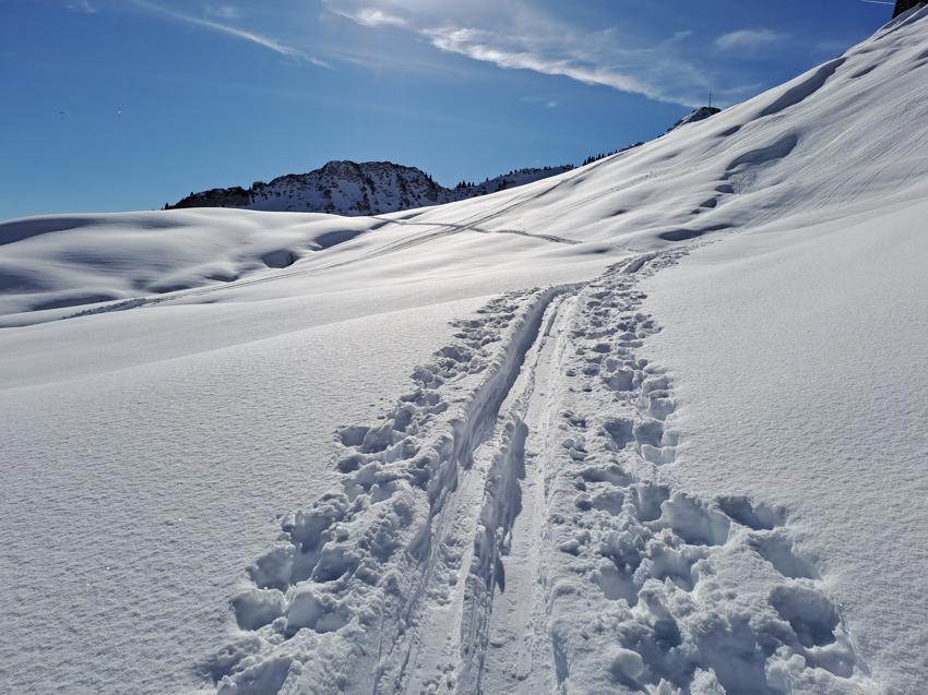 Hahnenkamm