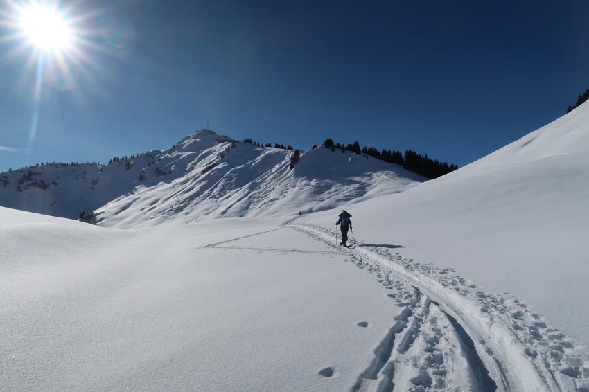 Hahnenkamm