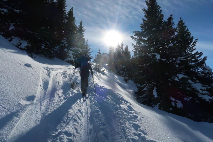 Hahnenkamm