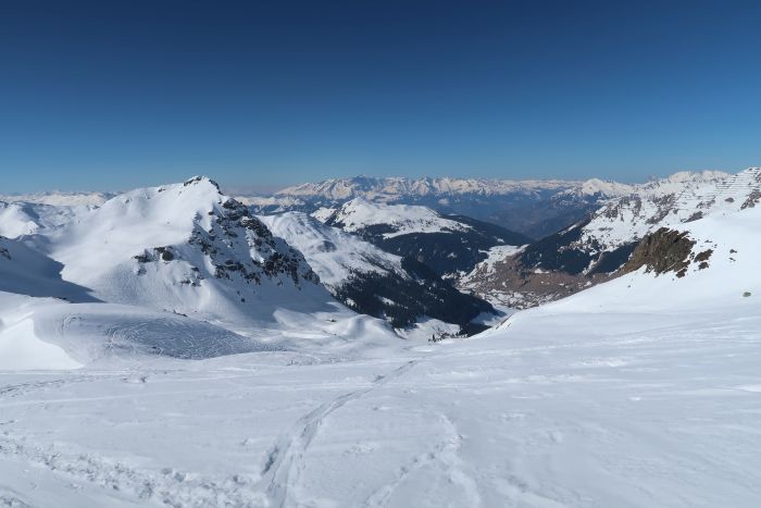 Riedkopf