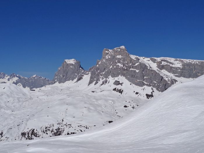 Riedkopf
