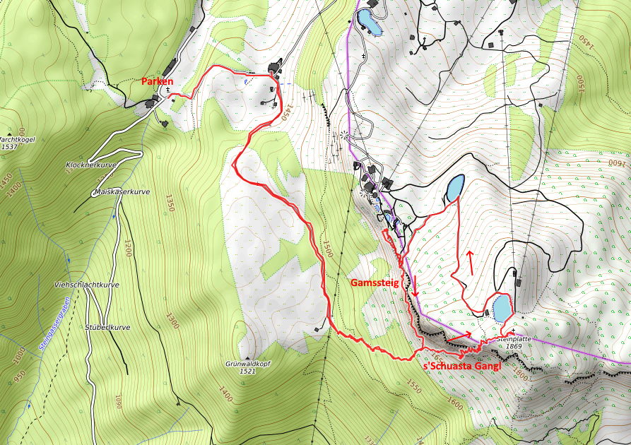 Openstreetmap: Steinplatte - s'Schuasta Gangl