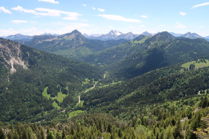 Kienberg