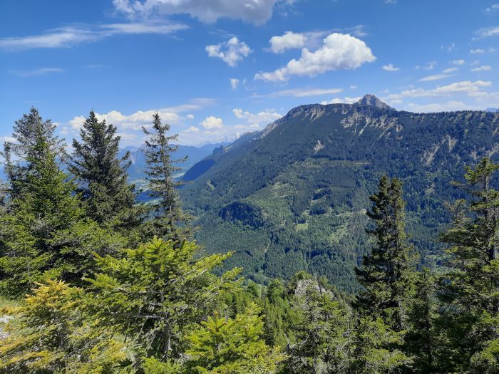 Kienberg