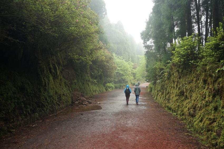 Pico da Cruz - São Miguel / Azoren
