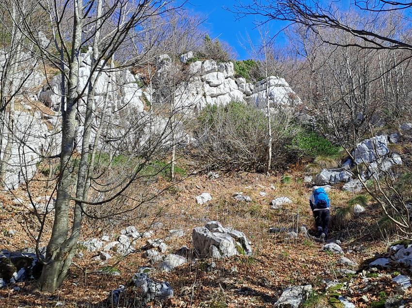 Snježnik