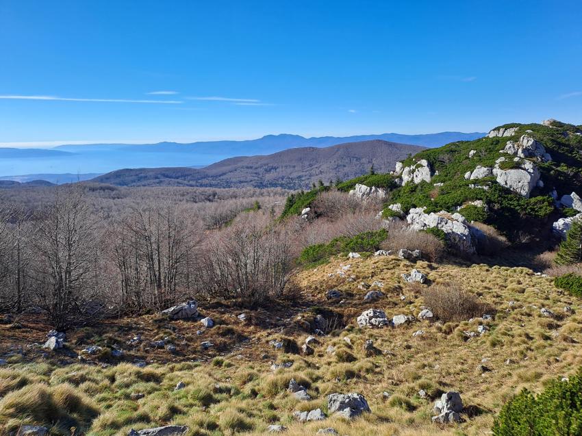 Snježnik