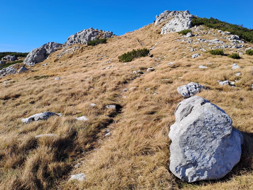 Snježnik