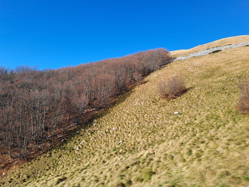 Snježnik