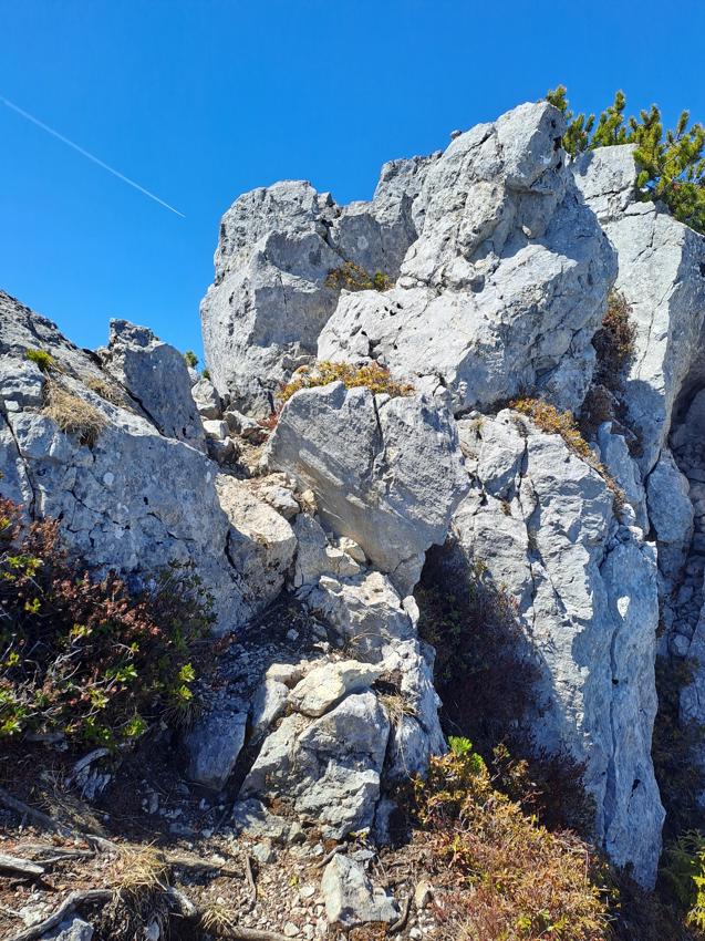 Hochkranz