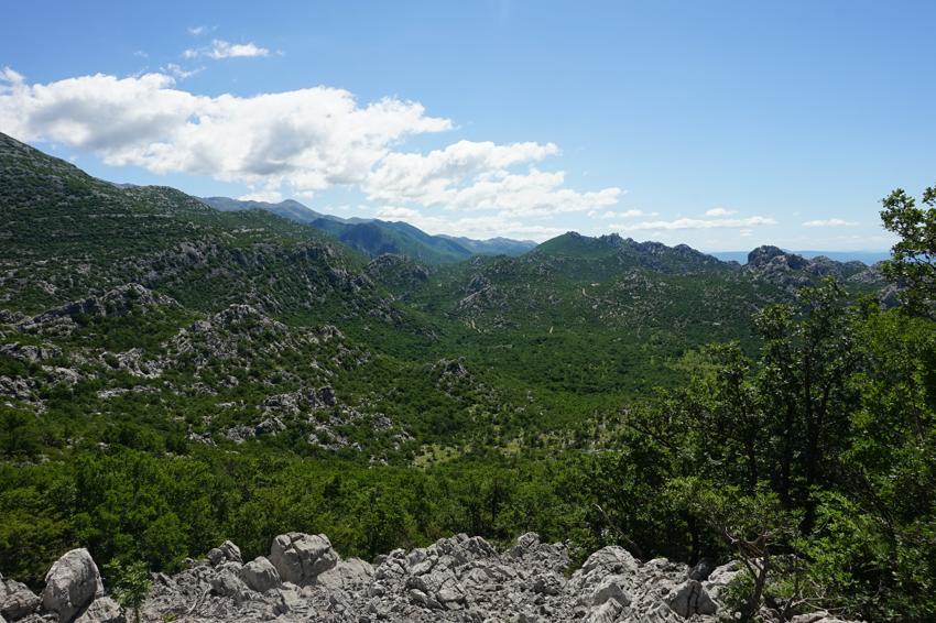 Bojin kuk