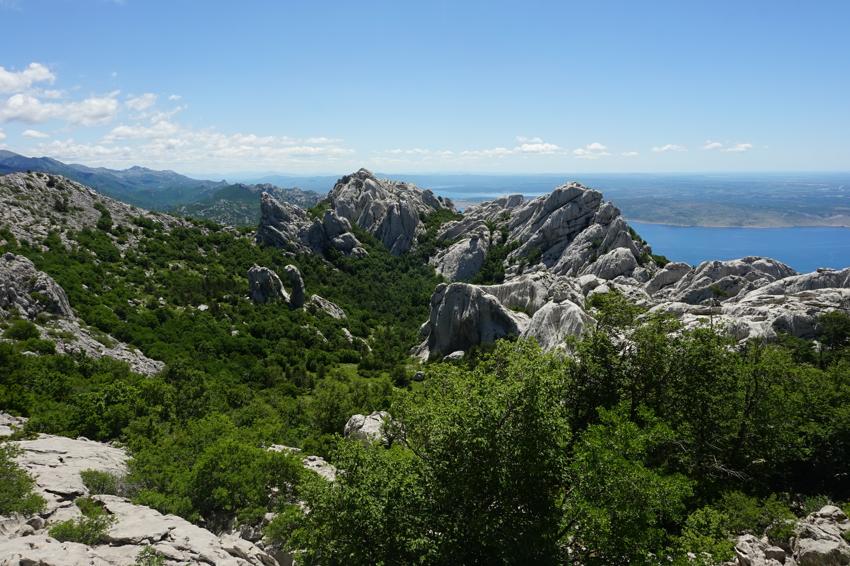 Bojin kuk