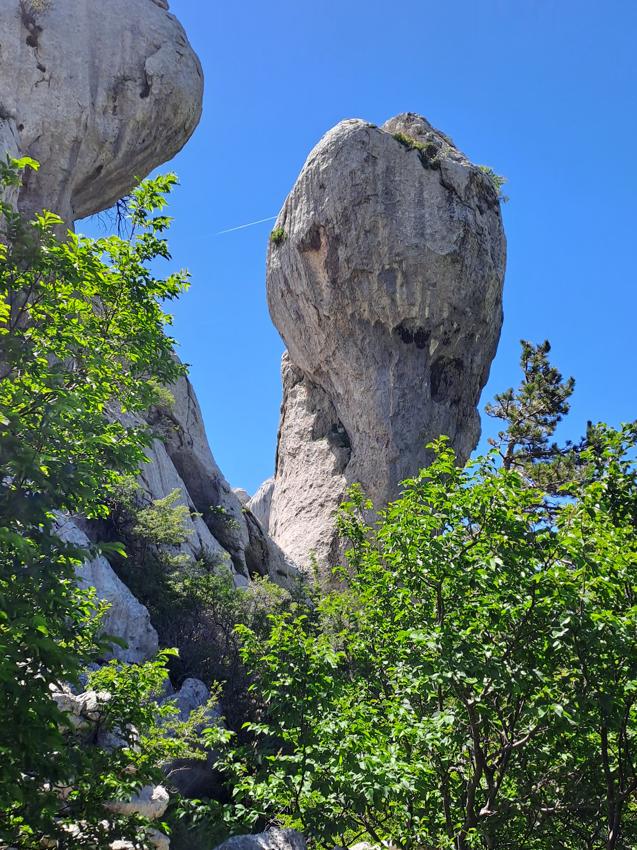 Bojin kuk